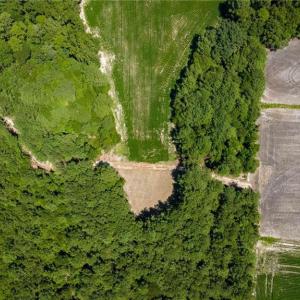 Photo #8 of TBD Balfour, Lumber Bridge, NC 12.5 acres