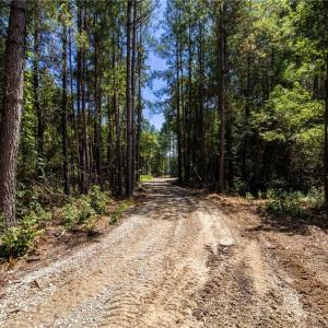 Photo #14 of TBD Balfour, Lumber Bridge, NC 12.5 acres