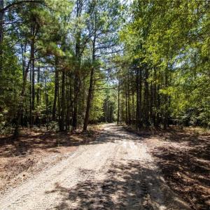 Photo #13 of TBD Balfour, Lumber Bridge, NC 12.5 acres