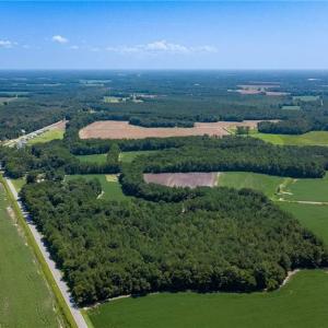 Photo #4 of TBD Balfour, Lumber Bridge, NC 12.5 acres
