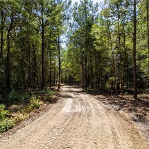Photo #10 of TBD Balfour, Lumber Bridge, NC 12.5 acres