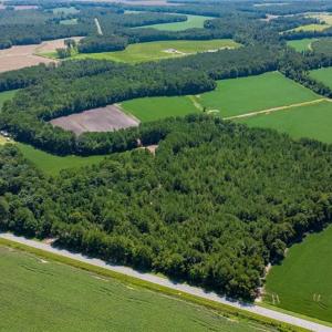 Photo #3 of TBD Balfour, Lumber Bridge, NC 12.5 acres