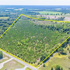 Photo #2 of TBD Blue Springs, Red Springs, NC 61.9 acres