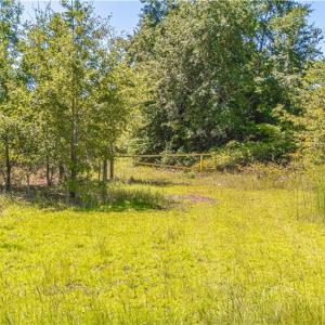 Photo #10 of TBD Blue Springs, Red Springs, NC 61.9 acres