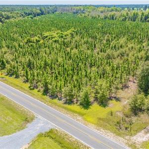 Photo #5 of TBD Blue Springs, Red Springs, NC 61.9 acres
