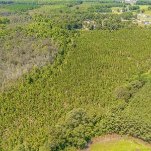 Photo #4 of TBD Blue Springs, Red Springs, NC 61.9 acres