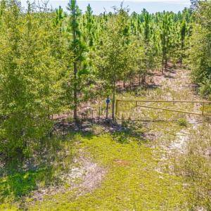 Photo #6 of TBD Blue Springs, Red Springs, NC 61.9 acres