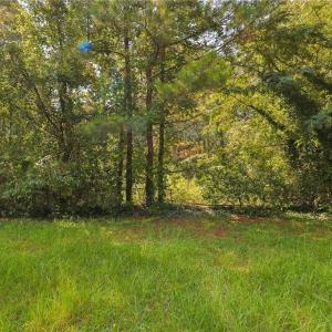 Photo #10 of 121 Buffalo, Fayetteville, NC 1.1 acres