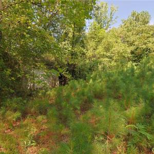 Photo #15 of 121 Buffalo, Fayetteville, NC 1.1 acres