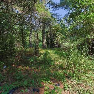 Photo #13 of 121 Buffalo, Fayetteville, NC 1.1 acres
