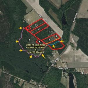 Photo #6 of McNeill Lake, Lumber Bridge, NC 76.0 acres