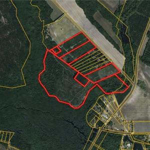 Photo #1 of McNeill Lake, Lumber Bridge, NC 76.0 acres