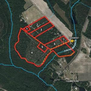 Photo #7 of McNeill Lake, Lumber Bridge, NC 76.0 acres