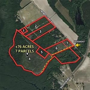 Photo #2 of McNeill Lake, Lumber Bridge, NC 76.0 acres
