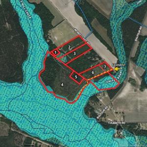Photo #8 of McNeill Lake, Lumber Bridge, NC 76.0 acres