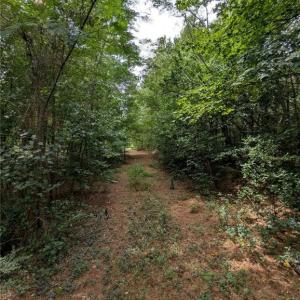 Photo #3 of McNeill Lake, Lumber Bridge, NC 76.0 acres