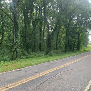 Photo #8 of Rocky Fork Church rd, Sanford, NC 4.8 acres
