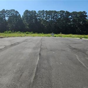Photo #10 of 131 Britt, St. Pauls, NC 26.0 acres