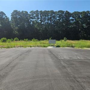 Photo #8 of 131 Britt, St. Pauls, NC 26.0 acres