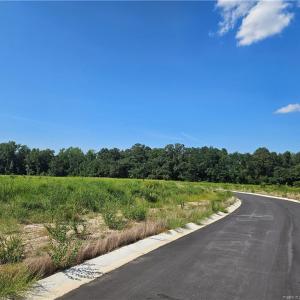 Photo #5 of 131 Britt, St. Pauls, NC 26.0 acres