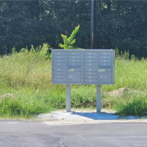 Photo #9 of 131 Britt, St. Pauls, NC 26.0 acres