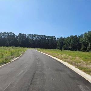 Photo #7 of 131 Britt, St. Pauls, NC 26.0 acres