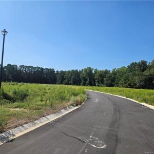 Photo #6 of 131 Britt, St. Pauls, NC 26.0 acres