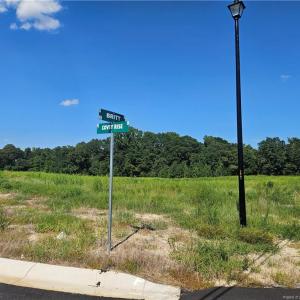 Photo #3 of 131 Britt, St. Pauls, NC 26.0 acres