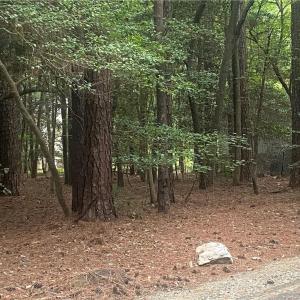 Photo #1 of 3020 Bourbon, Sanford, NC 0.2 acres