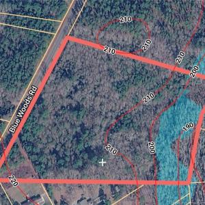 Photo #1 of BLUE WOODS, Laurinburg, NC 16.2 acres