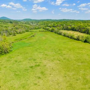 Photo #1 of THUMB RUN RD, ORLEAN, VA 50.8 acres