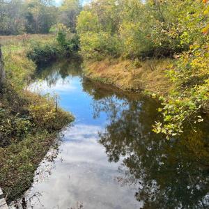 Photo #11 of THUMB RUN RD, ORLEAN, VA 50.8 acres