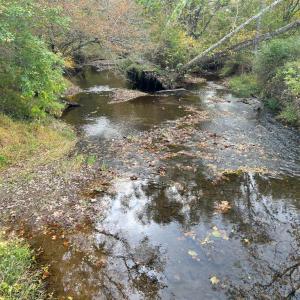 Photo #7 of THUMB RUN RD, ORLEAN, VA 50.8 acres