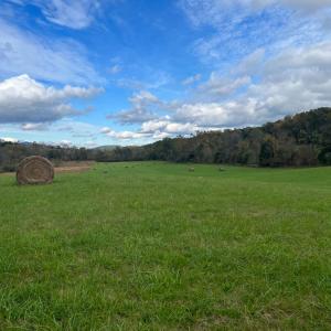 Photo #8 of THUMB RUN RD, ORLEAN, VA 50.8 acres