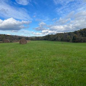 Photo #9 of THUMB RUN RD, ORLEAN, VA 50.8 acres