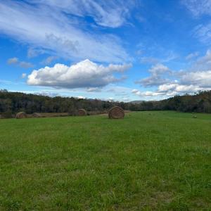 Photo #10 of THUMB RUN RD, ORLEAN, VA 50.8 acres
