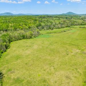 Photo #6 of THUMB RUN RD, ORLEAN, VA 50.8 acres