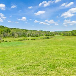 Photo #2 of THUMB RUN RD, ORLEAN, VA 50.8 acres