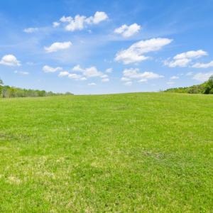 Photo #4 of THUMB RUN RD, ORLEAN, VA 50.8 acres