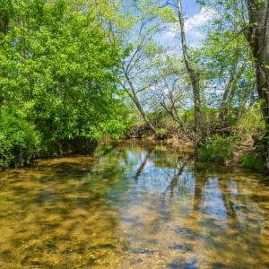 Photo #3 of THUMB RUN RD, ORLEAN, VA 50.8 acres