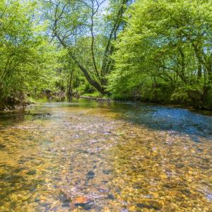 Photo #5 of THUMB RUN RD, ORLEAN, VA 50.8 acres