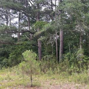 Photo #1 of Sanderosa (0477-88-1702), Fayetteville, NC 2.9 acres