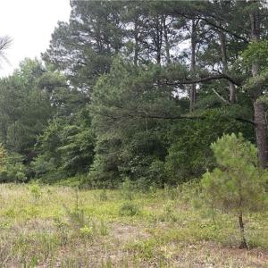Photo #2 of Sanderosa (0477-88-1702), Fayetteville, NC 2.9 acres