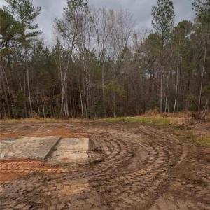 Photo #4 of 183 Thistlecone, Sanford, NC 2.6 acres