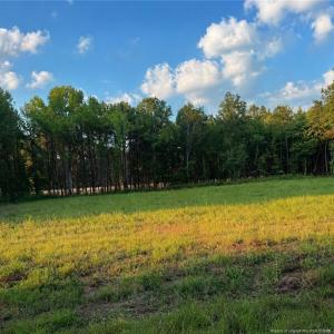 Photo #1 of TBD Myrtle, Roseboro, NC 1.0 acres