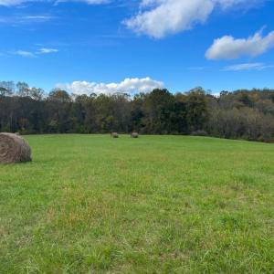 Photo #11 of HAWTHORNE FARM RD, ORLEAN, VA 378.3 acres