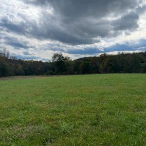 Photo #12 of HAWTHORNE FARM RD, ORLEAN, VA 378.3 acres