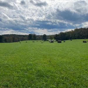 Photo #13 of HAWTHORNE FARM RD, ORLEAN, VA 378.3 acres