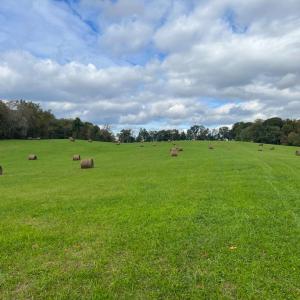 Photo #14 of HAWTHORNE FARM RD, ORLEAN, VA 378.3 acres