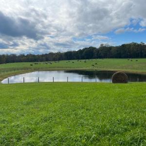 Photo #15 of HAWTHORNE FARM RD, ORLEAN, VA 378.3 acres